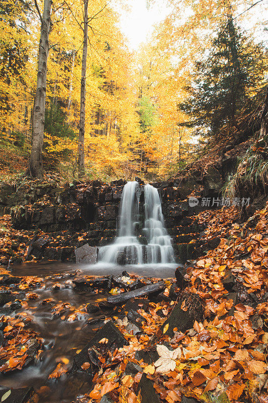 Wonderful cascading waterfall Bystry covered and surrounded by autumn leaves and trees glowing orange-red at the village ÄeladnÃ¡ in the heart of Beskydy mountains, Czech republic